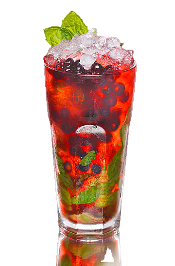 Black  Currant Mojito