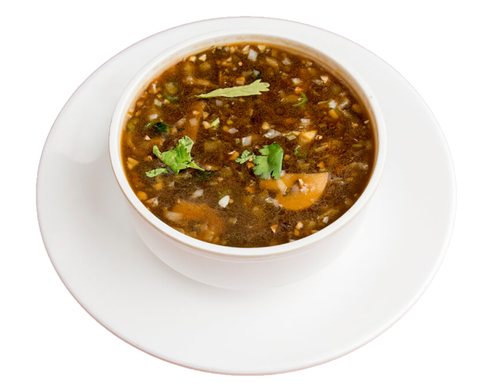 Veg Manchaow Soup