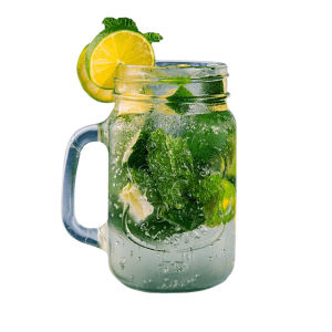 Fresh Virgin Mojito