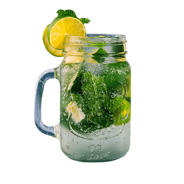 Fresh Virgin Mojito