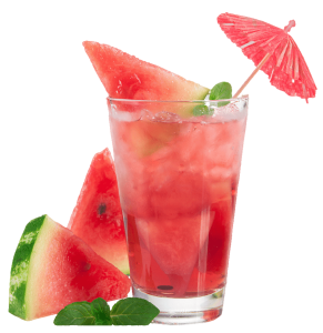 Watermelon Mojito